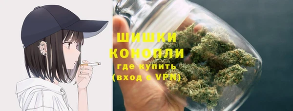 шишки Богданович