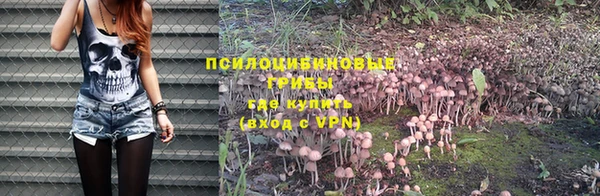 амф Бронницы