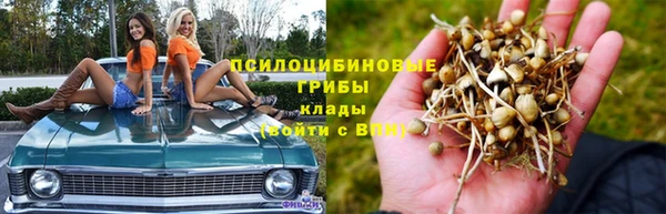 амф Бронницы