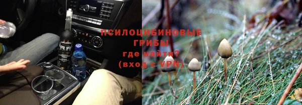 амф Бронницы