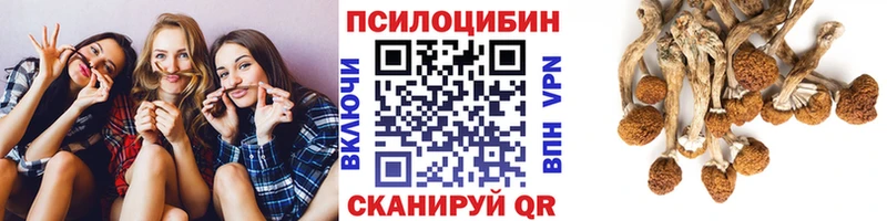 Галлюциногенные грибы мухоморы  Кимовск 